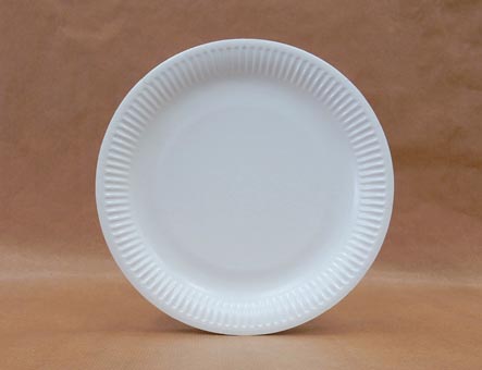 PLATO LLANO